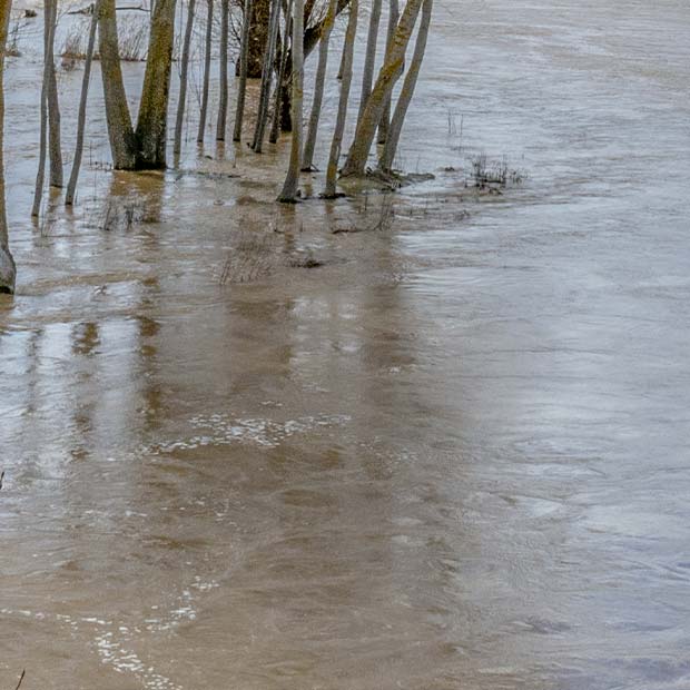 Assicurazione alluvioni