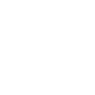 Icona Auto / Persona