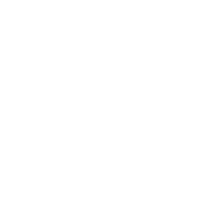 Icona Impresa