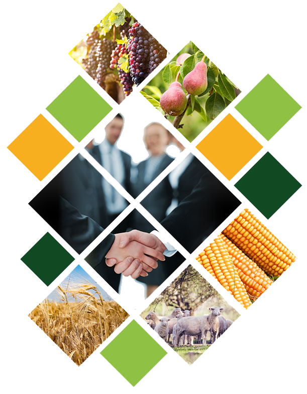 Chi è Agribusiness