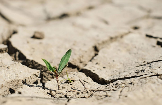 Assicurazione eventi climatici