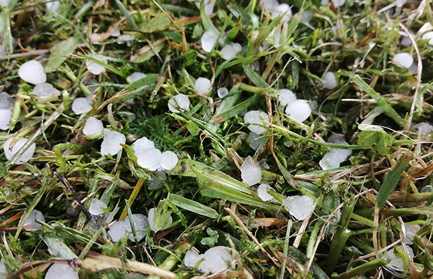 Assicurazione eventi climatici