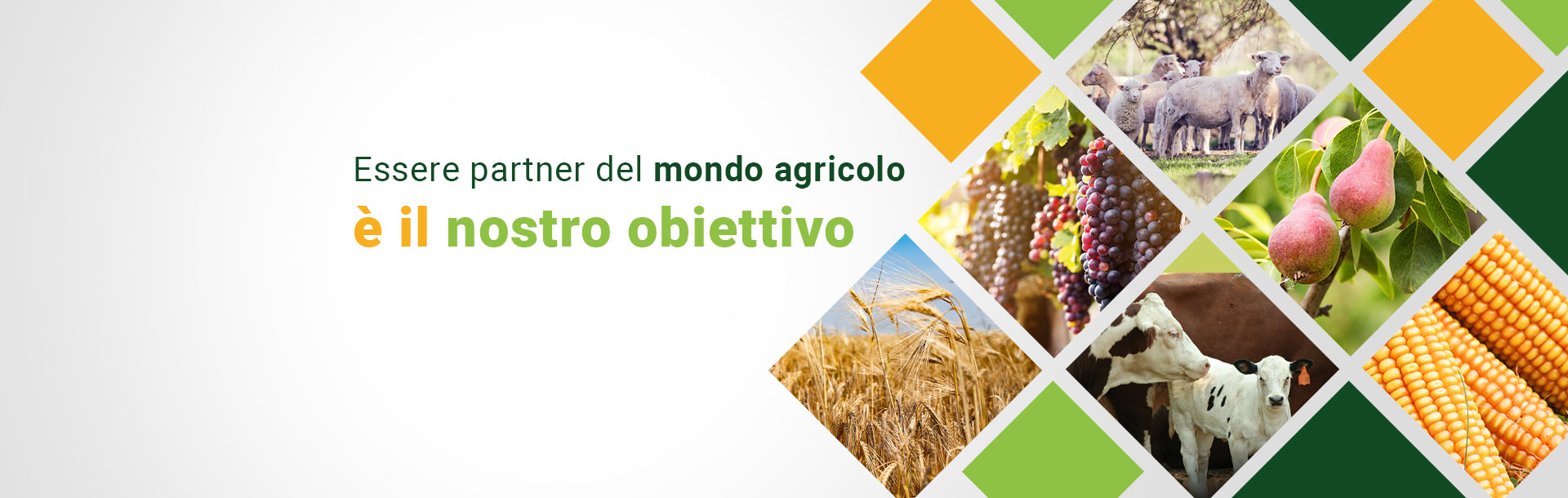 Partner agricolo