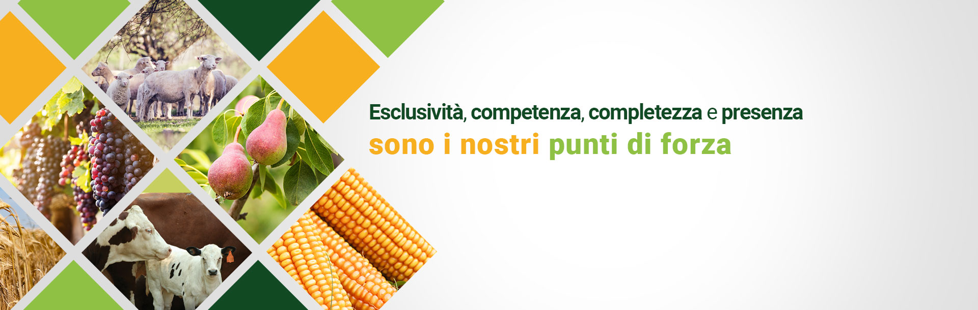 Competenza, passione, completezza e flessibilità